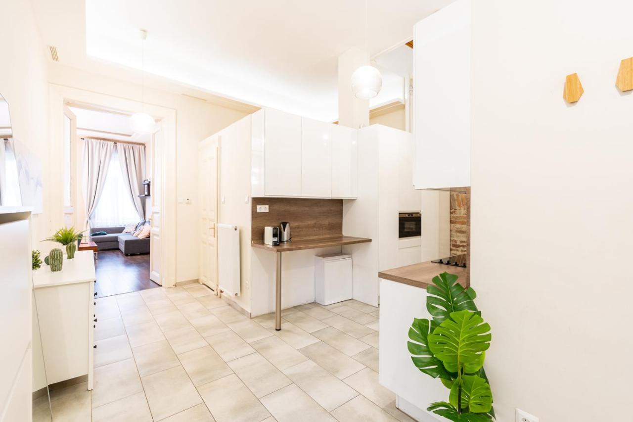 Spacious Luxury Apartment At The Heart Of ブダペスト エクステリア 写真
